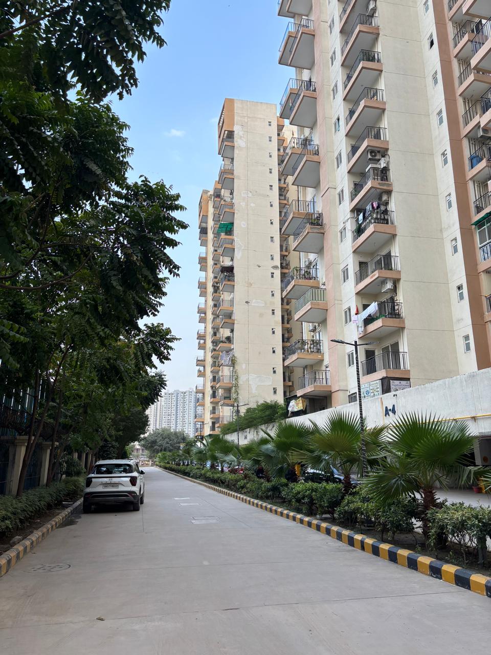 Centurian Park Terrace Home garden